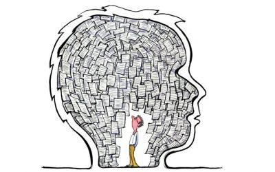 Книга «Организованный ум» Дэниел Левитин: как полюбить свой мозг
